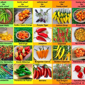 Kit de Pimentas 1: Sementes de pimenta, 20 variedades, por exemplo, Jalapeño, Aji Charapita, Carolina Reaper... Sementes cultivadas na Alemanha.