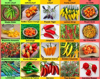 Set de Chiles 20 Variedades de Semillas, Empaquetadas Individualmente, de Suaves a Muy Picantes, de Todo el Mundo, ej. Carolina Reaper