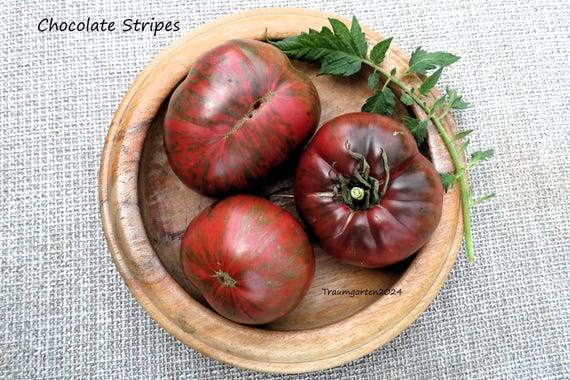 Tomaten Set 1: Tomatensamen samenfest 20 Sorten Saatgut Saat angebaut in  Deutschland - Etsy.de