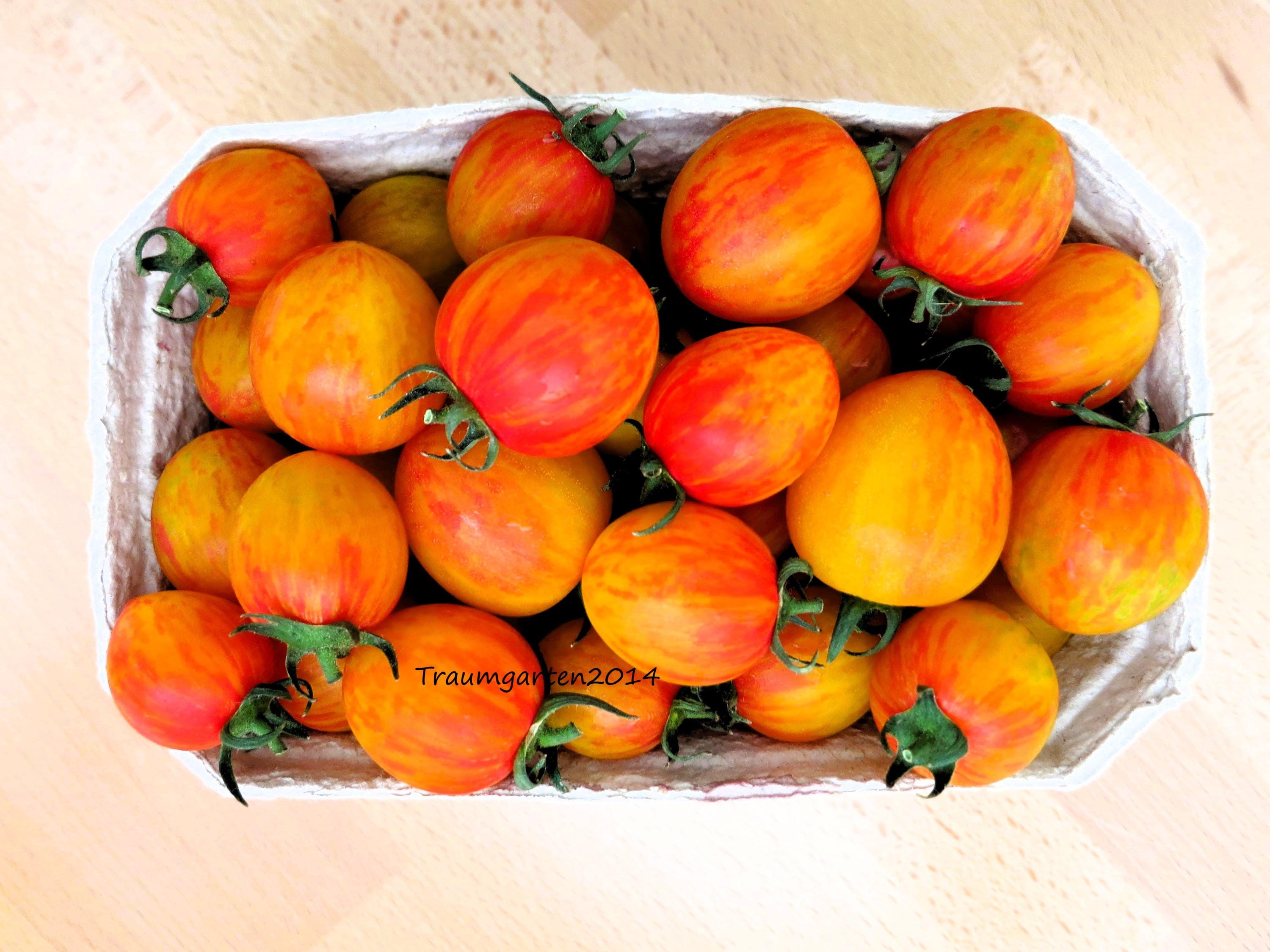 Coffret 20 Variétés Anciennes De Tomates - Graines Reproductibles Sans OGM - Cerise, Cœur De Bœuf, Noires, Jaunes - Qualité Supérieure