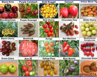 Tomato Seeds  |  20 Varieties of Non GMO, Non Hybrid, Heirloom  |  for example Black Krim, Oxheart, Green Zebra, Blue Beauty, Yellow Pear ..