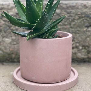 6 Cylinder Plant Pot Unique Concrete Pot for with Drainage Hole for Home Gardening Plant Mom and Dad Gift Idea Farm Collection image 1
