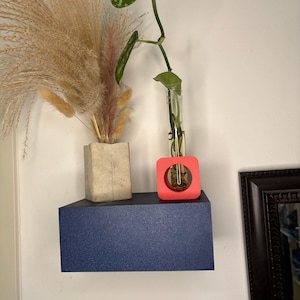 Può includere: Una mensola galleggiante blu navy con un vaso quadrato color corallo che contiene un tubo di vetro con una pianta. Sono visibili anche un vaso di cemento con erba della pampa essiccata e uno specchio con cornice nera.