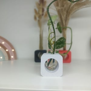 May include: A white square planter with a round opening holds a glass test tube filled with water and a green plant. The plant is a vine with leaves and stems growing inside the tube.