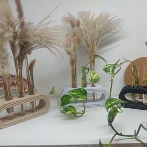 Ellipse Vermehrungsstation, 3 Stecklinge, Bücherregal Dekor, Reagenzglas Pflanzgefäß, Knospe Vase
