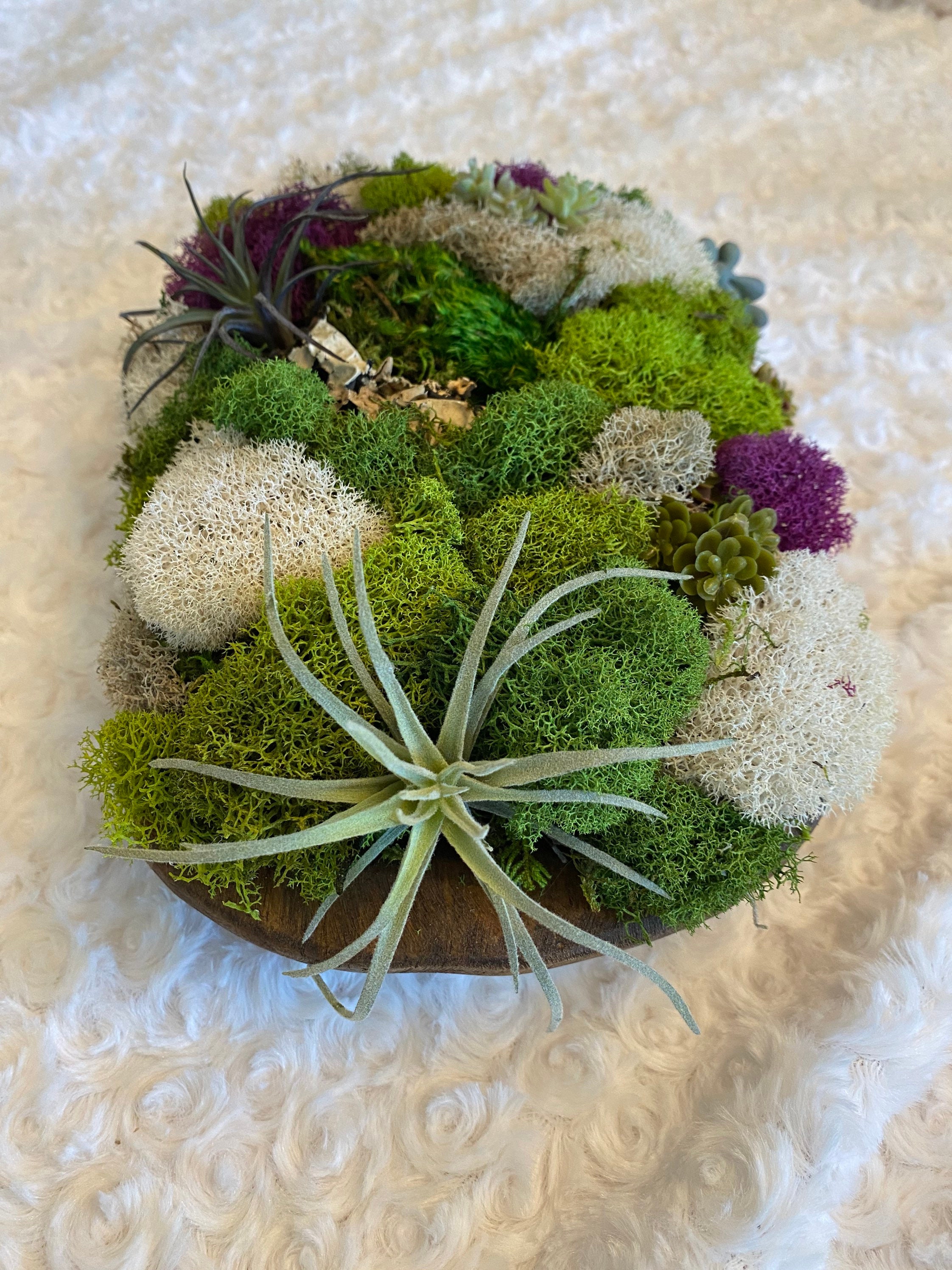 10 Moss Centerpiece / Dough Bowl/ Rustic / Nature accent Etsy