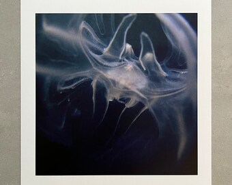 Comb Jellyfish Underwater Photo Art Print, Ocean Coastal Beach Decor