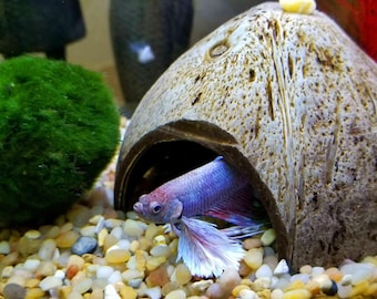 Natural Coconut Shell Aquarium Cave | Fish Shrimp Betta Hideout | Eco-Friendly Aquascape Decor | Breeding Cave