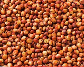 künstliche zeder kaufen Künstlicher Zedernbaum, 60 cm – Shoppen Im Kaufrausch main image 1