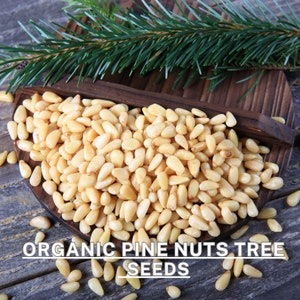 May include: A close-up of a wooden bowl filled with organic pine nuts. The pine nuts are light brown and have a slightly rough texture. The bowl is sitting on a wooden surface. The text "ORGANIC PINE NUTS TREE SEEDS" is printed on the surface below the bowl.