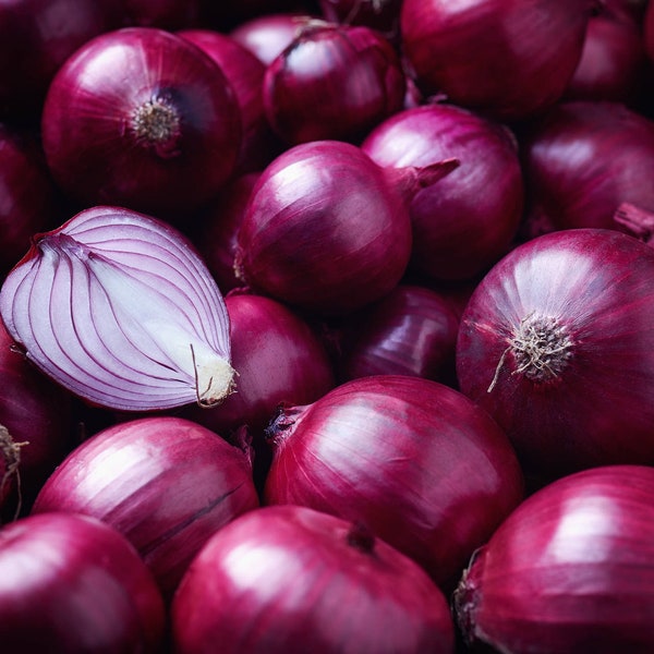 RED Onion    Organic Seeds - Non GMO - 200 seeds