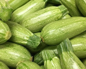 Semi di zucchine bianche biologiche - semi di zucca estiva, semi di zucchine - 100 semi, non OGM, semi di ortaggi antichi per la semina in giardino