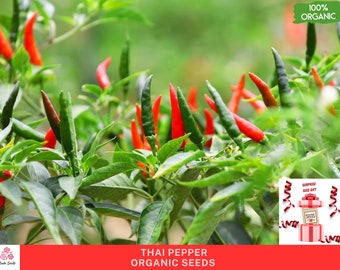 Semillas orgánicas de chile picante tailandés, 100 semillas, sin OGM, pimiento tailandés picante, semillas de pimiento picante premium para jardinería