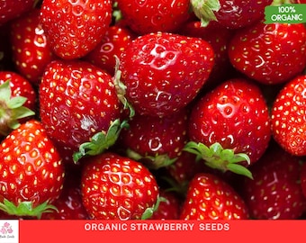 Bio-Erdbeersamen - 50 Samen - Non-GMO - Süße Beerenpflanzen - Perfekt für den Hausgarten - Frische Erdbeersamen - Heirloomvielfalt