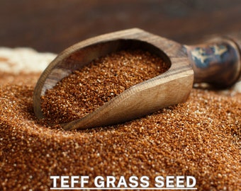 100% Organic Superior Quality Teff Grass Seed - 5 oz 150 gr - Cook's Essential Gluten-Free Superfood