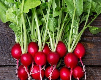 Organic Radish cherry belle seeds - Non GMO - 100 seeds