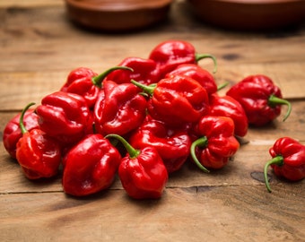 Habanero Red Classic Seeds - Semi Strani di Carlo Martini