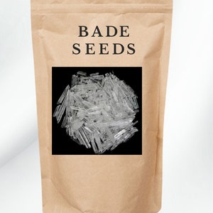 Puede incluir: Una bolsa de papel marrón con el texto "BADE SEEDS" impreso en la parte delantera. Una imagen de primer plano de cristales transparentes se muestra en un cuadrado negro en la bolsa.