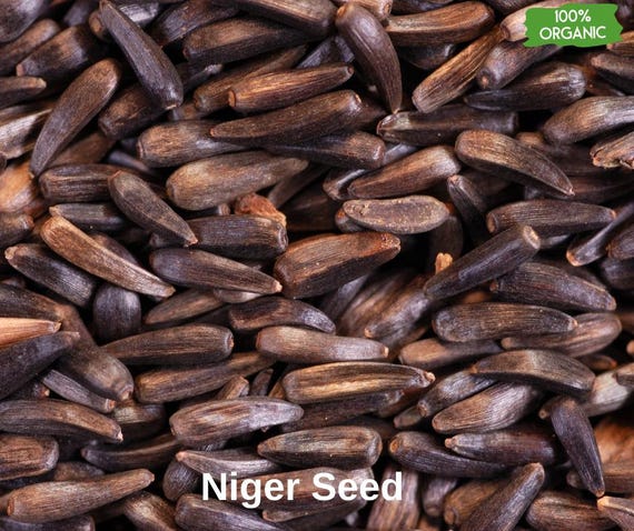 Organic Niger Seed , Wild Bird Food Nyjer Seed , Guizotia Abyssinica,  Organic Ramtil, Natural Ramtil, Guizotia Abyssinica - 6 Oz 180 Gr - Etsy