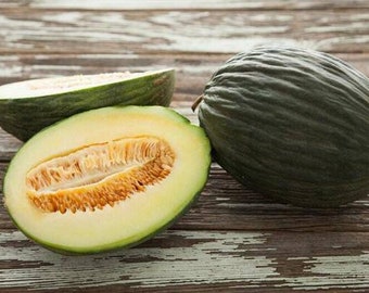 Rich Sweetness 132 Melon Seeds, Russian Heirloom, Organic Non-gmo Rich Sweetness 132 Melon Seeds, Russian Heirloom, Organic Non-gmo