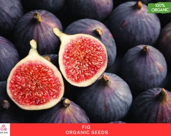 Semillas de higuera orgánicas - Sin OGM, 100 semillas para plantar - Cultive sus propios higos deliciosos, ideal para uso en el jardín o en el hogar, semillas de higuera frescas