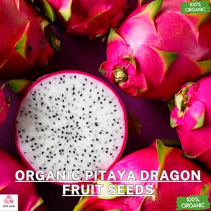 Sementes Orgânicas de Pitaya Vermelha - Exóticas e Deliciosas - Cultive Suas Próprias Frutas Tropicais em Casa - 100 sementes de Pitahaya - Hylocereus Undatus