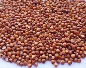 Semillas orgánicas de sorgo rojo -s - Sin OGM, Orgánico -, Guisantes del Sur (caupí) 200 semillas