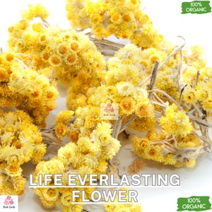 May include: Dried yellow life everlasting flowers, also known as strawflower, with stems. 100% organic.