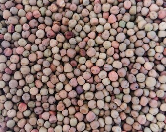 Green Pea    Organic Seeds - Non GMO - 25 seeds