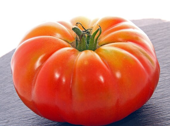 Französische Fleischtomate 'Marmande' – Alte Sorte, Samenfest, Ca. 10 Samen, Ertragreich & Saftig