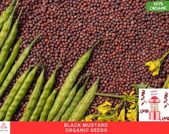 Biologische zwarte mosterdzaden - 200 zaden, natuurlijk en genetisch gemodificeerd, ideaal voor tuinieren en culinair gebruik, hoogwaardige mosterdzaden