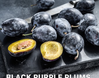 Semillas de ciruelas negras moradas orgánicas (Prunus domestica), semillas de árboles frutales, ciruelas Moyer, cultive sus propias ciruelas jugosas / 20 semillas