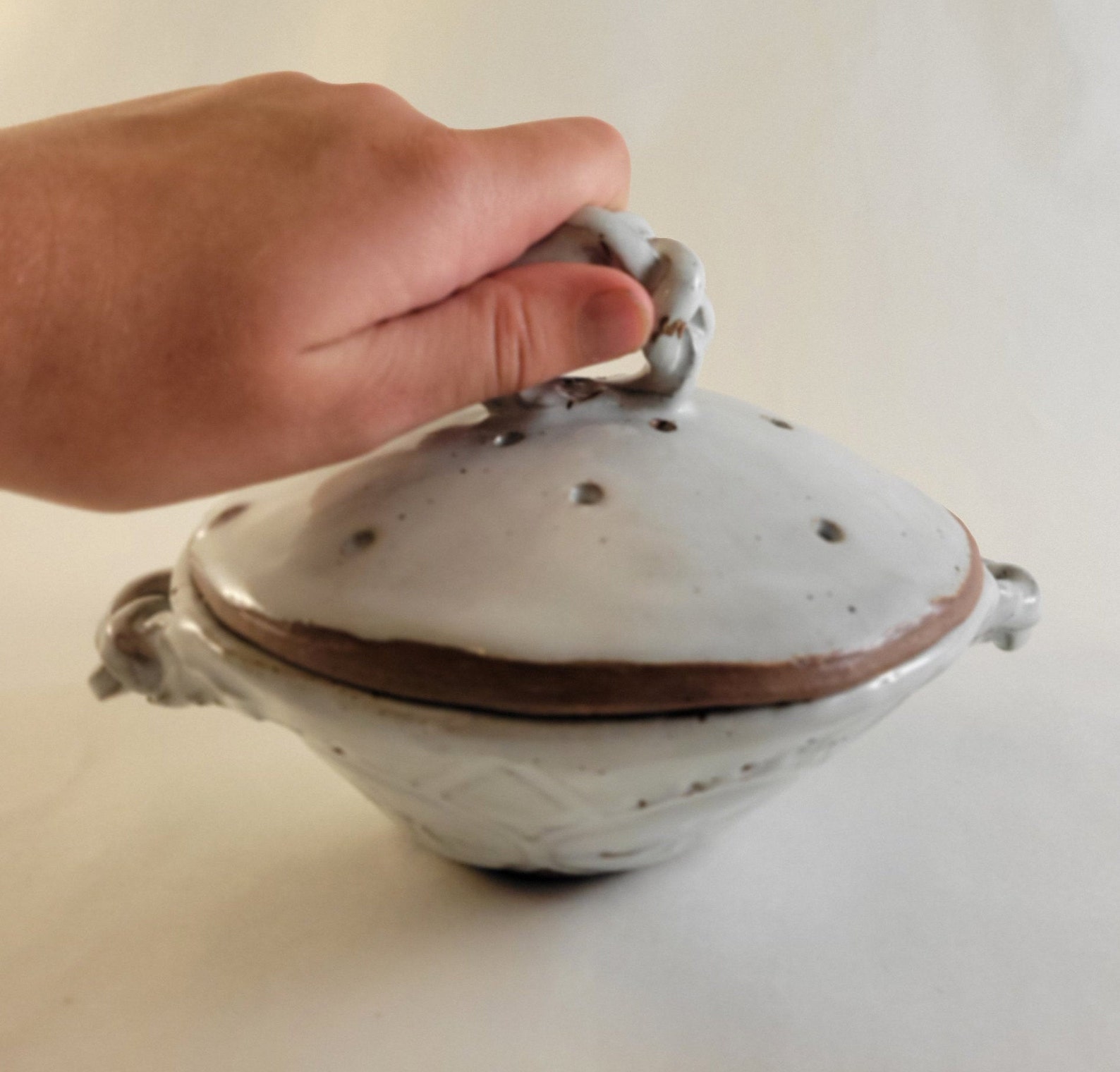 Ceramic Food Steamer Your Kitchens New Bestie! Ceramic Food Steamer Your Kitchens New Bestie!
