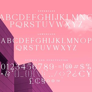 Classy font, Clean font, Procreate font, Wedding font, Canva font, Logo font, Luxury font, Craft font, Magazine Font, All caps font image 7