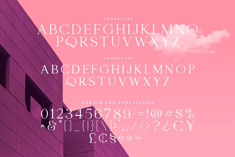 Classy font, Clean font, Procreate font, Wedding font, Canva font, Logo font, Luxury font, Craft font, Magazine Font, All caps font image 7