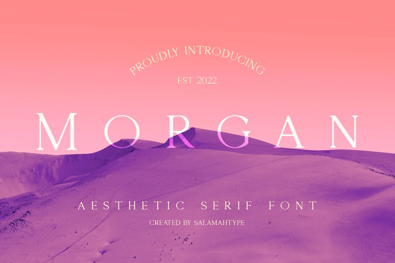 Classy font, Clean font, Procreate font, Wedding font, Canva font, Logo font, Luxury font, Craft font, Magazine Font, All caps font image 10