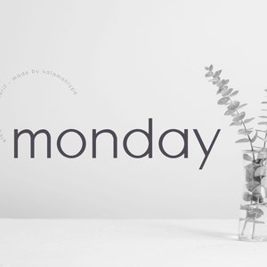 Monday Clean Sans Serif Font, Procreate Fonts, Cricut Font, Wedding Fonts, Stylish Fonts, Canva font, Minimalist font, Logo Fonts, Modern image 1