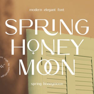 Modern Font, Modern Typefaces, Classy font, Luxury Fonts, Font for Cricut, Wedding Fonts, Mid Century Font, Modern Serif Fonts, Logo Fonts