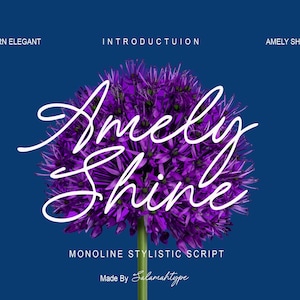 Peut inclure: Une conception graphique avec une fleur violette vibrante et les mots "Amely Shine" en écriture blanche. Les textes "Modern Elegant", "Introduction" et "Amely Shine" sont également présents sur un fond bleu foncé. Le texte "Monoline Stylistic Script" et "Made By Selanahtype" sont également présents.