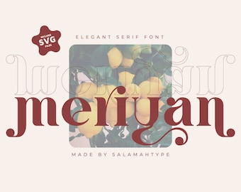 Elegant font, Branding Font, Canva Font, Cricut Font, Procreate Font, Logo Font, Modern Font, Ligature Font, Serif Font, Stylish Font