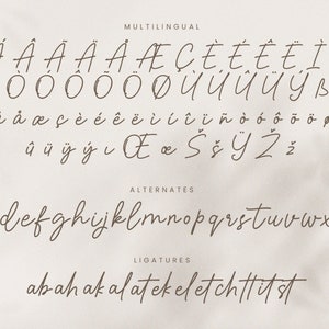 Monoline script signature font, modern font, wedding font, minimal font, clean font, natural font, handwriting font, canva, cricut font image 6