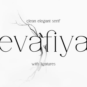 Evafiya: Modern Elegant Sans Serif Font