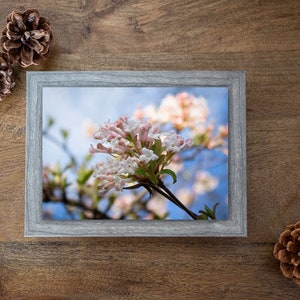 Décoration murale florale fleurs printanières - impression photo branches d'arbre feuillage - boutons de fleurs printaniers maison - impression macro branches d'arbre bleu ciel