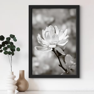 Poster fleur de magnolia - impression d'art botanique noir et blanc - photographie pétales de fleurs - décoration murale monochrome pour salon - cadeau de mariage
