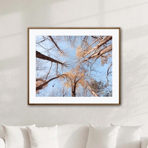 Canopée de l'arbre, impression d'affiche de forêt d'automne - photographie de forêt d'automne - décoration murale de salon - impression de la nature abstraite - cerclage d'arbre - ciel bleu