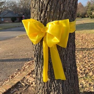 May include: A large yellow satin bow tied around a tree trunk.