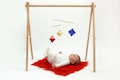 Wooden Montessori Baby Gym: Beech Wood Mobile Holder product logo