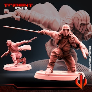 Peut inclure: Deux figurines miniatures pré-supportées de 40 mm représentant un personnage portant une cape à capuche et un masque, tenant une épée et un pistolet. Les figurines sont posées dans une posture d'action dynamique. Les figurines sont imprimées en rose clair.