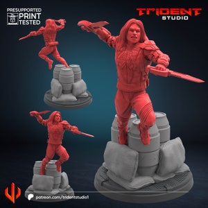 May include: A red 3D printed miniature figure of a female warrior holding two knives. The figure is standing on a base with three barrels and sandbags. The figure is pre-supported and print tested. The text "TRIDENT STUDIO" is visible in the upper right corner of the image.