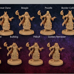 Dog Mages From Doggos and Dargons by Dragon Trapper Lodge Great for Dungeons and Dragons and other fantasy Tabletop Games